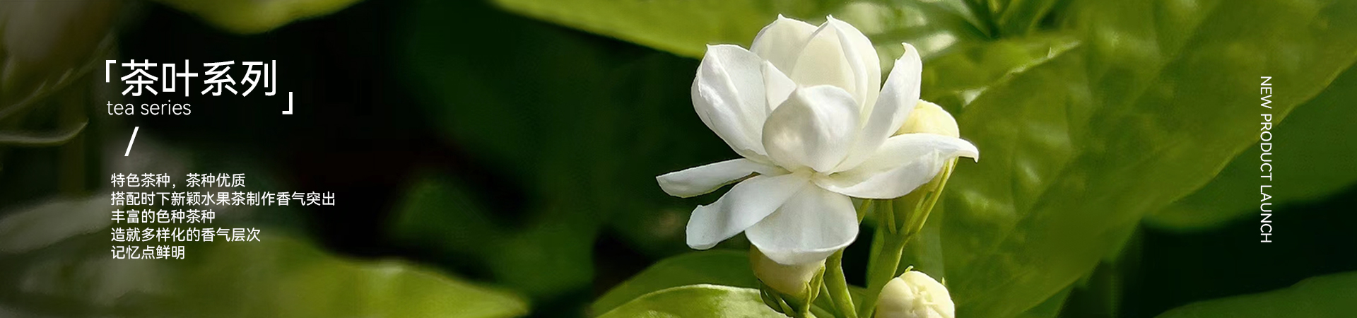 速品茶叶系列